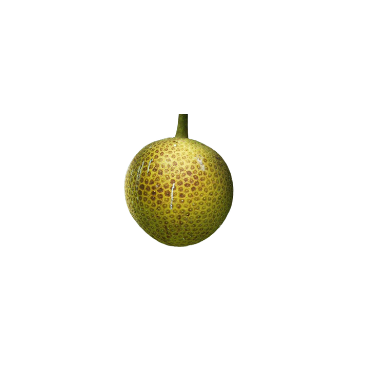 Lam veritab